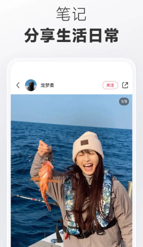小红书 8.43.1