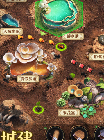 小小蚁国送648元金甲蚁