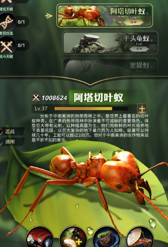 小小蚁国送648元金甲蚁