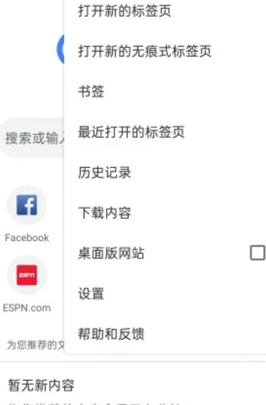 谷歌浏览器Google Chrome 107