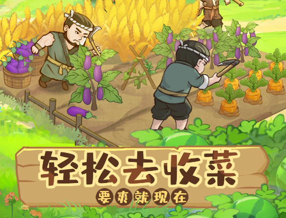 这城有良田 211.000