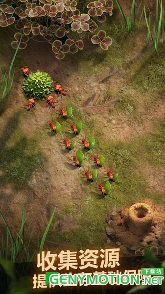 小小蚁国国际版(The Ants) v1.64.0安卓版 2