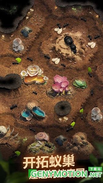 小小蚁国国际版(The Ants) v1.64.0安卓版 0