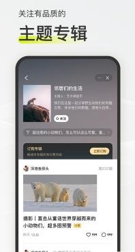 迷岛社交 v1.7.3安卓版 0