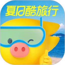 小飞猪抢票