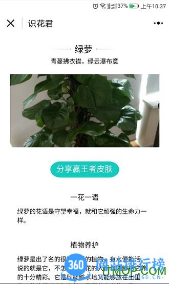 识花君拍照识别花软件 v1.1.2安卓版 1
