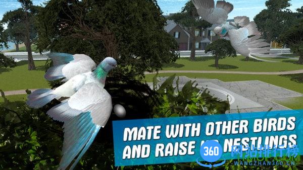 城市鸽子模拟器中文版