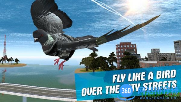 城市鸽子模拟器中文版 v10 安卓版 2