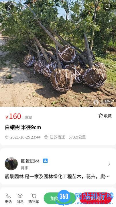 苗青青官方版app下载