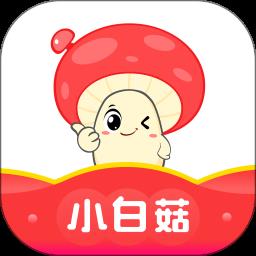 小白菇商城