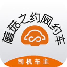 蘑菇之约司机版