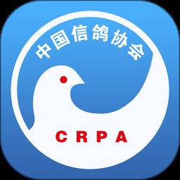 中国信鸽协会赛事直播