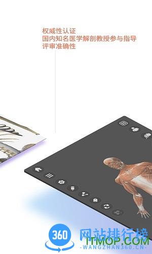 维萨里3d解剖免费版 v6.1.0安卓最新免费版 2