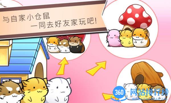 仓鼠的日常最新版 v4.6.4 安卓版 3