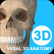 维萨里3d解剖免费版