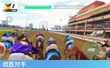 赛马路路发 v3.6.1 安卓版 0