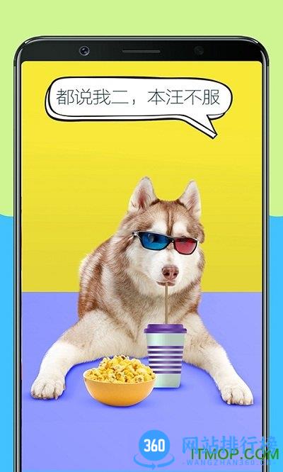 人狗训练翻译器 v3.0安卓版 1