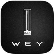 WEY智享互联app
