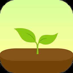 forest最新付费完整