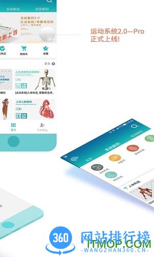 维萨里3d解剖app