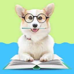 人狗训练翻译器