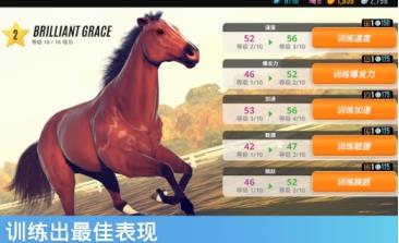 赛马路路发 v3.6.1 安卓版 1