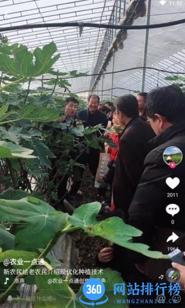 农兜直播带货平台 v2.0.359安卓最新版 0