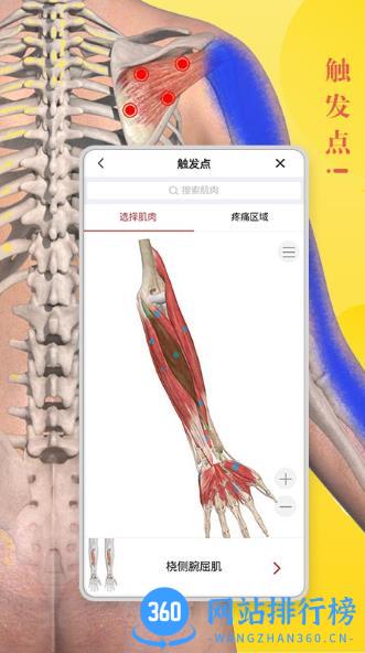 3dbody解剖图 v8.7.70安卓官方版 1