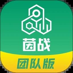 茵战团队版