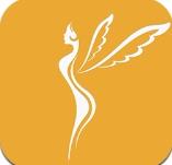 夏青体态大师软件