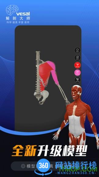 维萨里3D解剖大师 v3.8.3安卓版 0