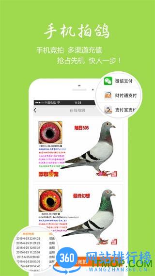 中国信鸽信息网app v20231101安卓官方版 2