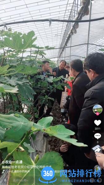 农兜网手机版 v2.0.359安卓版 2