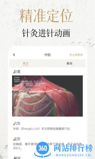 中济经络穴位手机版 v2.10.1安卓版 2
