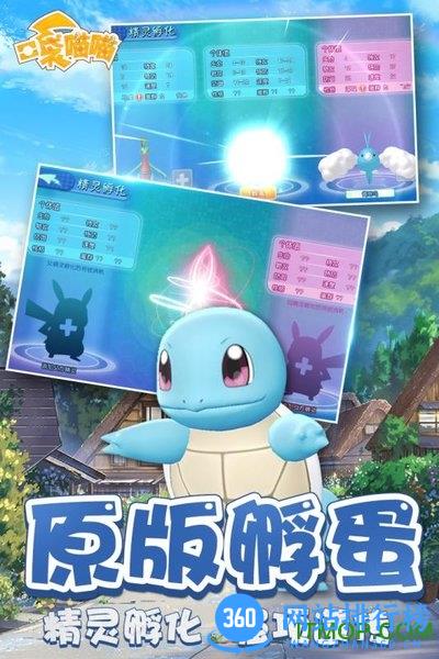 口袋喵喵