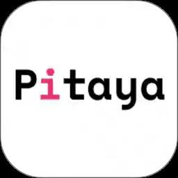 pitaya智能写作app
