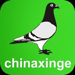 中国信鸽信息网app