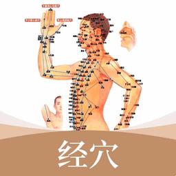 经络穴位艾灸大夫最新版