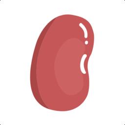 红豆笔记最新版
