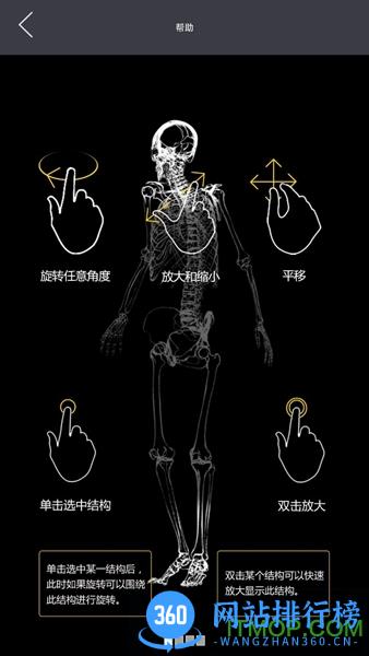 软件3d人体解剖学 3d人体解剖学客户端