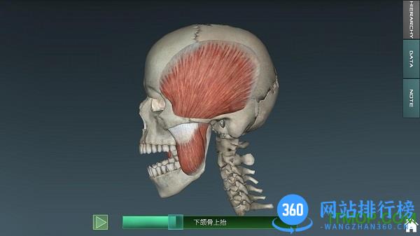 人体解剖学图集3d彩图(人体解剖学图谱) v3.15.2 安卓版 3