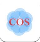 东方瑞云cosapp