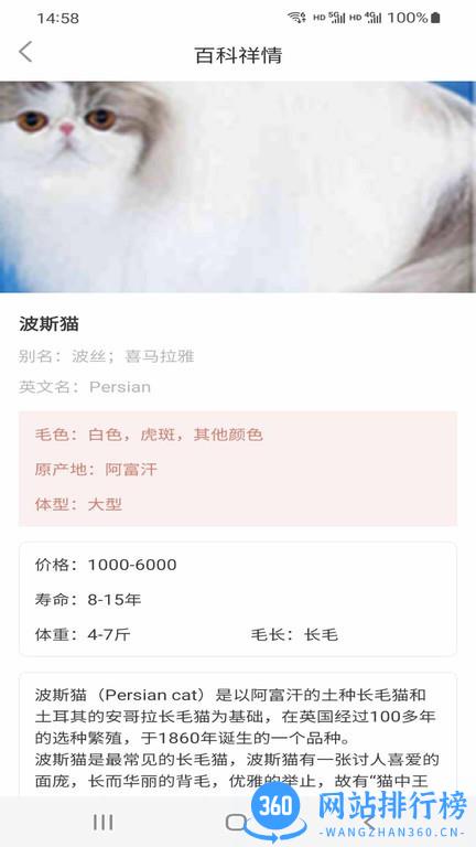 小猫先生软件最新版 v1.0 安卓版 0