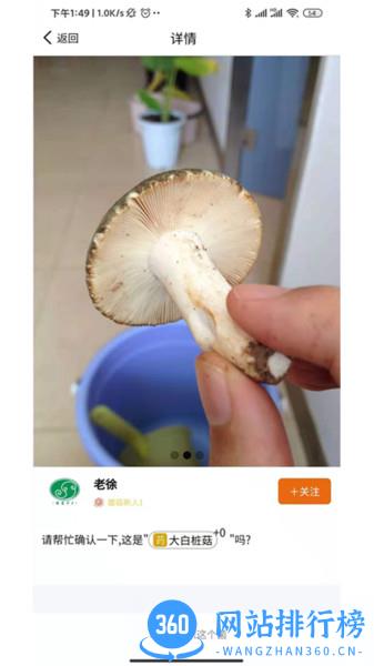 菌窝子 v3.0.0 安卓版 0