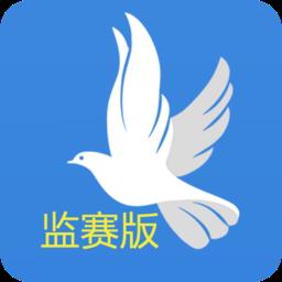 鸽派监赛版