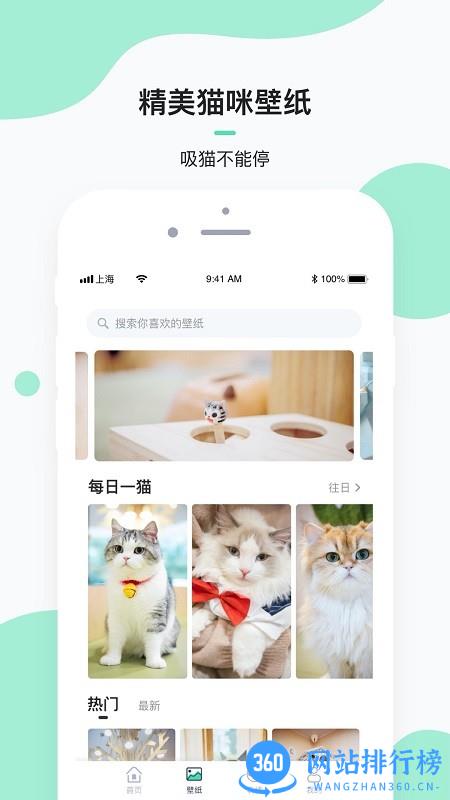 每日一猫壁纸 v1.0.0 安卓版 1
