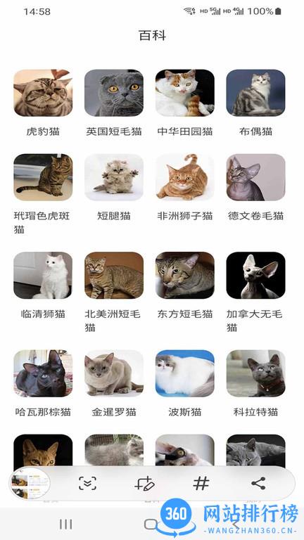 小猫先生软件最新版 v1.0 安卓版 1