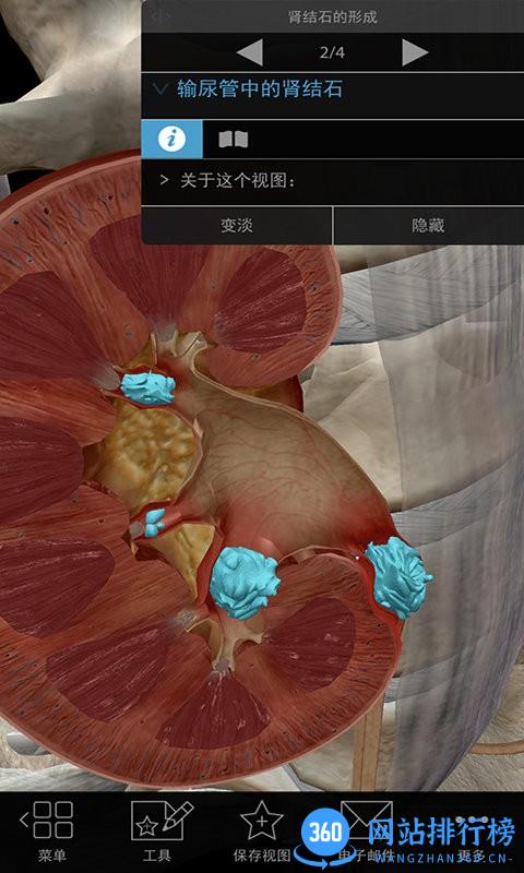 3D生理和病理学app
