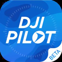 dji pilot pe手机版