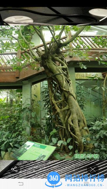 FindARapp v2.106.224 安卓版 0